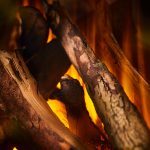 New Forest 870 with Deluxe Real logs - 870 мм, фото 4